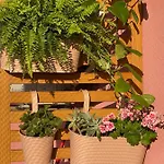 115 *
