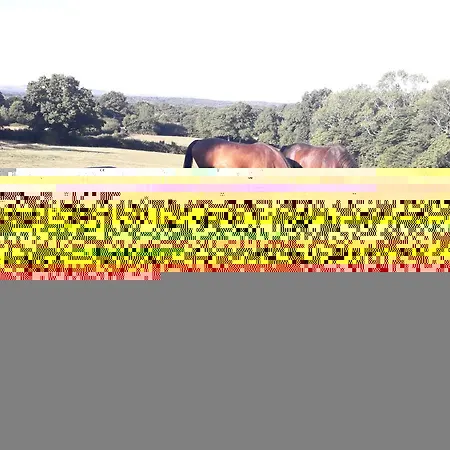 115 Lägenhet Oporto